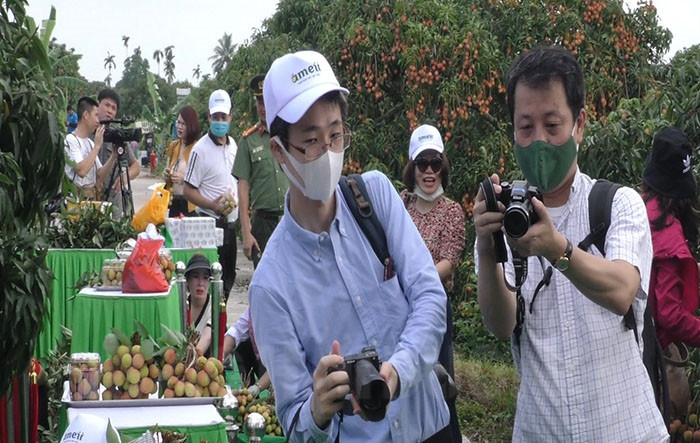 [Video] Thanh Ha lychee in the eyes of Japanese reporters